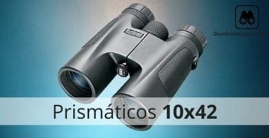 prismaticos 10x42